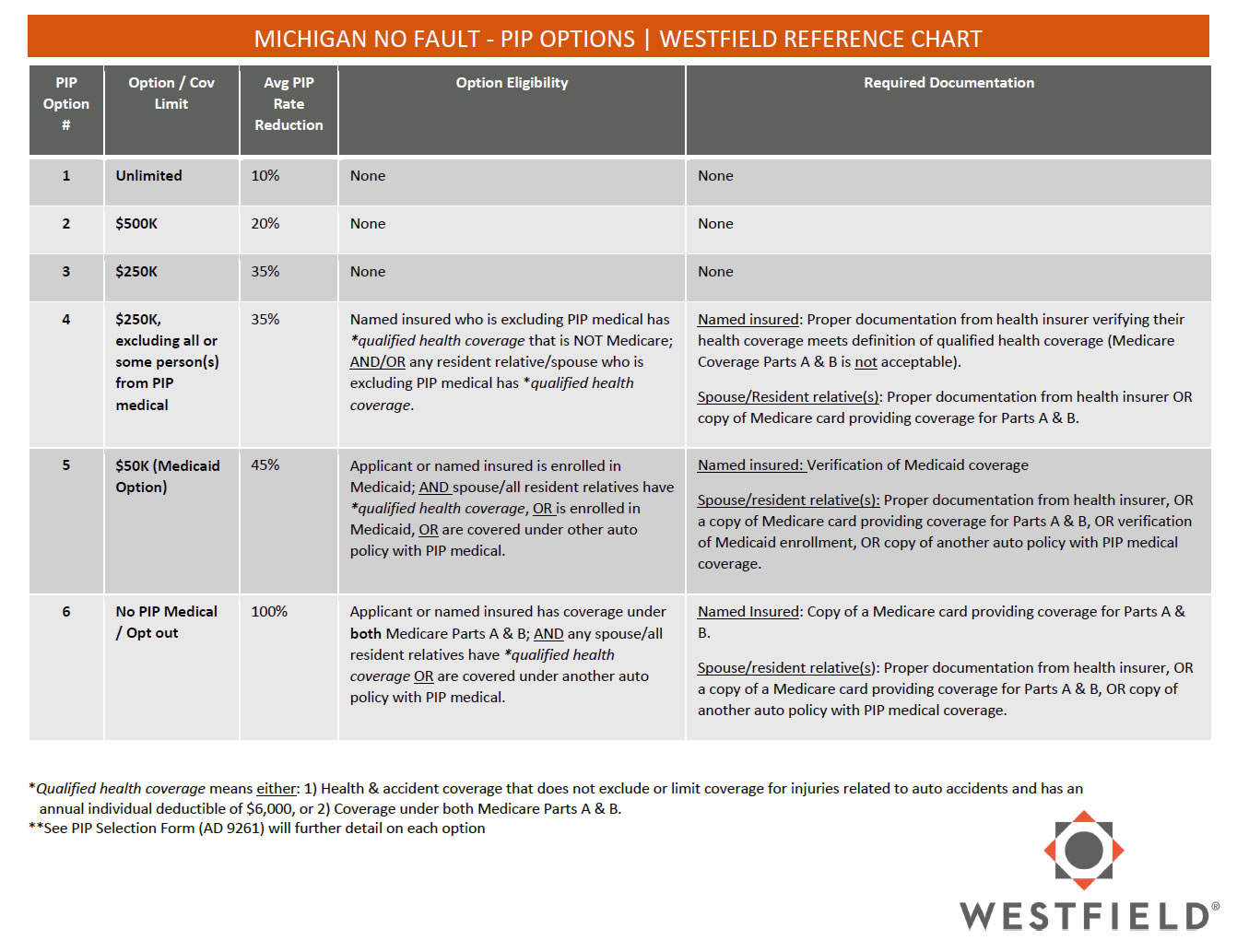 Michigan Auto Insurance PIP Options